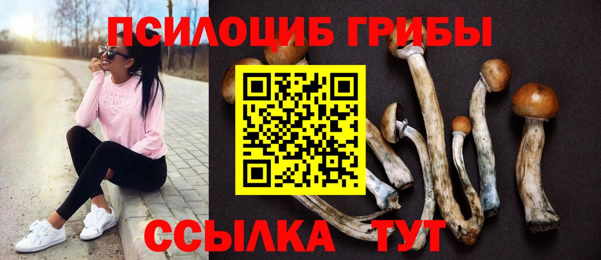 Галлюциногенные грибы GOLDEN TEACHER Курган